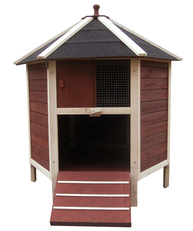 Tucker Murphy Pet™ Aria Chicken Coop with Nesting Box For Up To 2